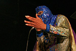 Blowfly