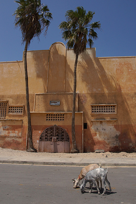 Senegal, Fotografie